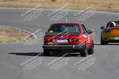 media/Nov-19-2023-Extreme Speed (Sun) [[bd0eec5490]]/Purple/Back Shots/